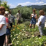 Travessia Do Sol - Eco And Retreat Centre