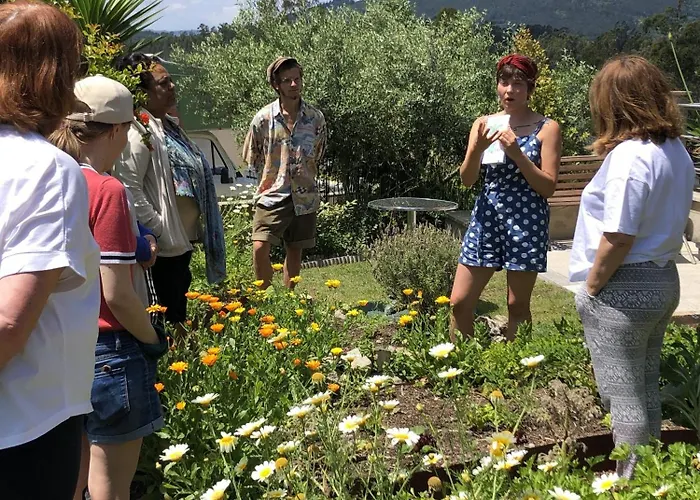 Travessia Do Sol - Eco And Retreat Centre